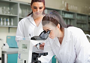 Science students working with a microspcope