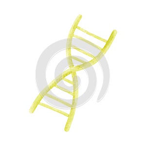 Science and technology concept. Yellow DNA, double helix spiral isolated on white background. Watercolor vector illustration