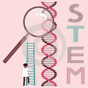 Science, Technology, Engineering, and Math (STEM) Education