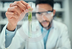 Science, test tube plant and man focus on pharmaceutical test, biotechnology development or botany innovation. Lab hand