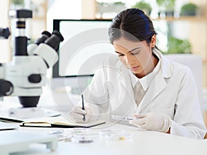 Science, woman and writing in lab with biotechnology for sample analysis, leaves experiment or results on plant study