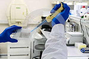 In a scientific biological laboratory