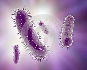 Scientific illustration of bacteria