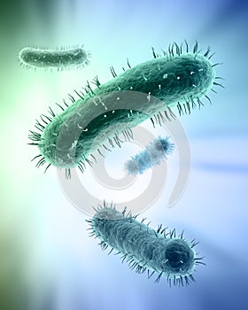 Scientific illustration of bacteria