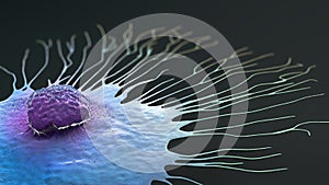 Scientific illustration of a migrating breast cancer cell