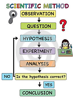 Scientific method for school