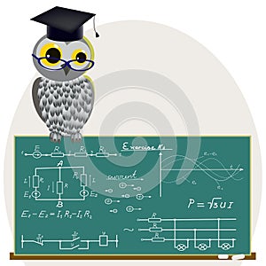 Scientific owl.