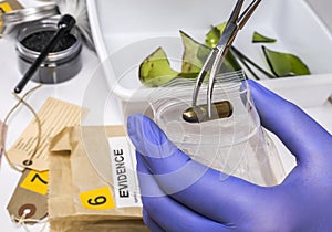 Scientific police examining a bullet cap in ballistic Laboratory