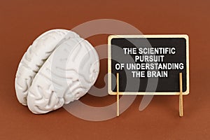 The scientific pursuit of understanding the brain.