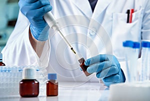 Scientific researcher pipetting a sample of chemical liquids into test tube