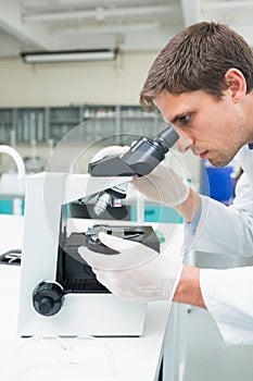 Scientific researcher using microscope in the laboratory