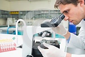 Scientific researcher using microscope in the laboratory