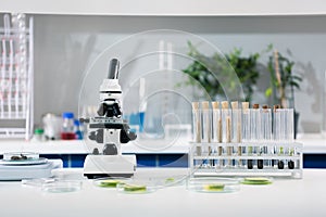 Scientific tools and plants at workplace