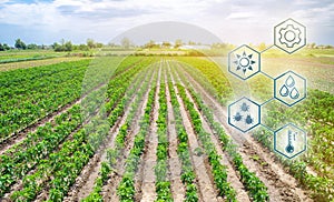 Scientific work and development of agriculture. High technologies and innovations in agro-industry. Agricultural startup.