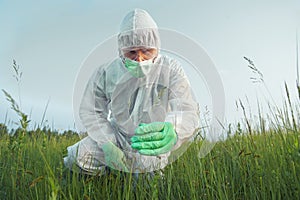 Scientist agronomist examines green plant