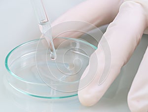 Scientist analyzing a blood sample on tray in laboratory