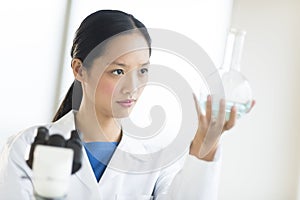Scientist Analyzing Chemical Solution At Laboratory photo