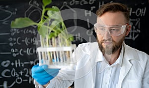 Scientist biochemist conducts experiments with plants in lab, biotechnology with scientist in laboratory