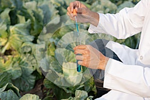 Scientist check chemical food residues on outdoor. Control experts inspect quality of fruits, vegetables. lab, hazards, ROHs, find