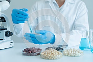 Scientist check chemical whole grains residues in laboratory. Control experts inspect the concentration of chemical residues.