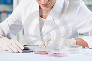 Scientist checking Petri dishes