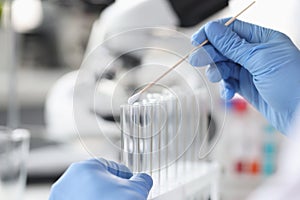 Scientist chemist inserting cotton swab into glass test tube closeup