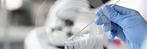 Scientist chemist inserting cotton swab into glass test tube closeup