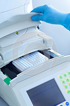 Scientist closing a lid of a thermocycler