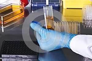 Scientist collecting a sample from a test tube for a clinical te