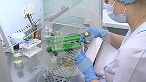 The scientist conducts research in the laboratory.