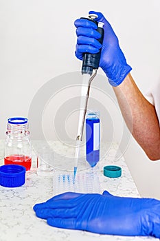 Scientist doctor pipetting samples in the lab