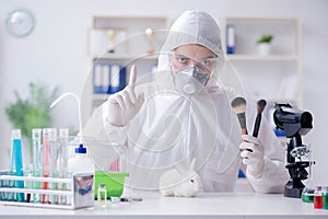 The scientist doing animal experiment in lab with rabbit