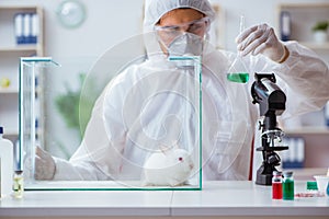 The scientist doing animal experiment in lab with rabbit