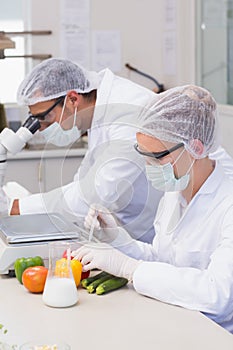 Scientist doing experimentation on vegetables