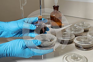 Scientist doing nitrogen titration of soil sample at table. Laboratory research