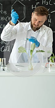 Scientist dropping a sample into a Petri dish with green plant in laboratory, Biotechnology