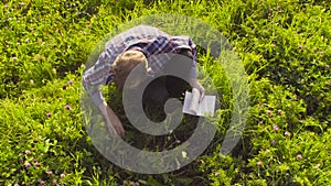 Scientist ecologist examining plants on the meadow