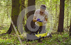 Scientist ecologist in the forest taking samples of moss