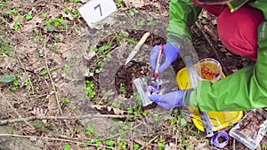 Scientist ecologist in the forest taking samples of soil