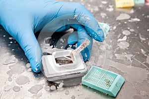 Scientist embedding tissues in paraffin blocks for sectioning. Pathology laboratory. Cancer diagnosis