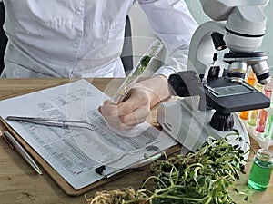 Scientist examines plant samples using a microscope in a research lab