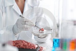 Scientist examining forcemeat in laboratory