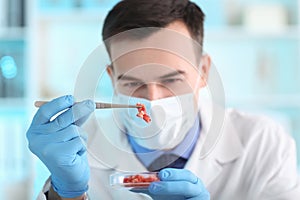 Scientist examining meat sample in laboratory