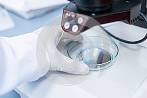 Scientist examining sample in Petri dish with a microscope. Modern biological laboratory.