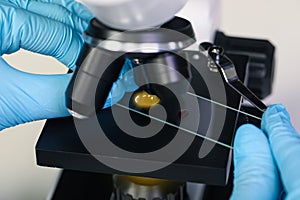 Scientist examining sample on slide under microscope, closeup