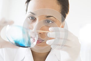 Scientist Examining Solution In Petri Dish At Laboratory