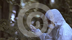 Scientist examining trees after acid rains, ecosystem surveys, sediment control