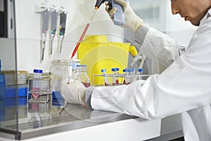 Scientist Filling Test Tube With Hitech Pipette photo