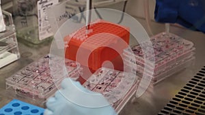 Scientist Filling Test Tubes in Lab