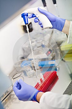 Scientist in gloves experimenting